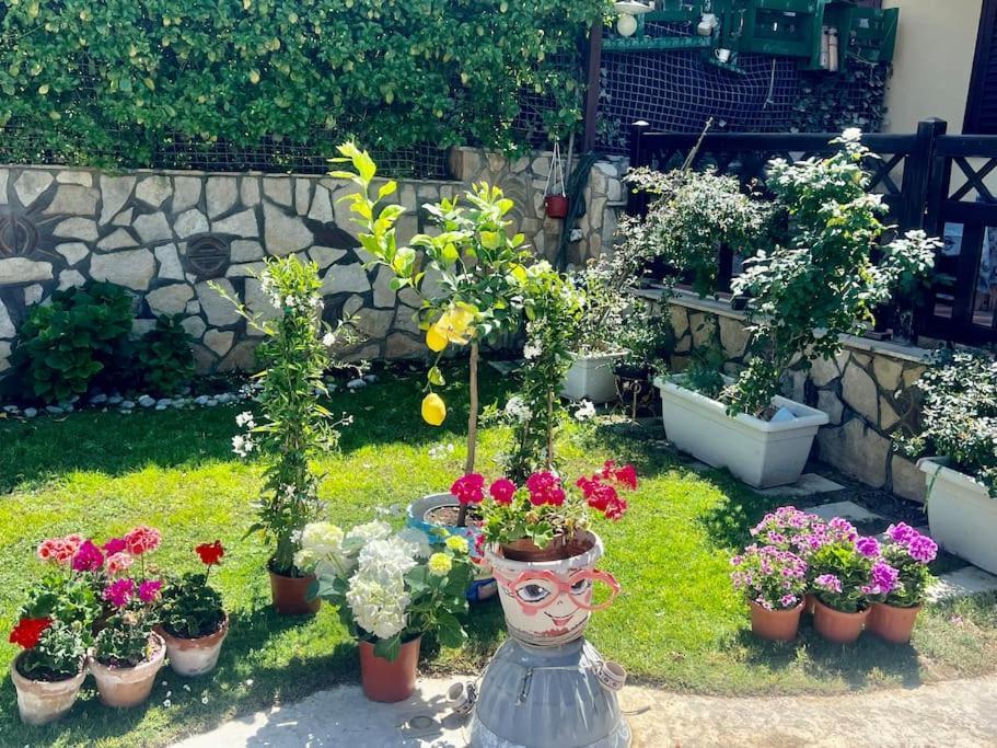 Villa Eco-Chic Carini Εξωτερικό φωτογραφία